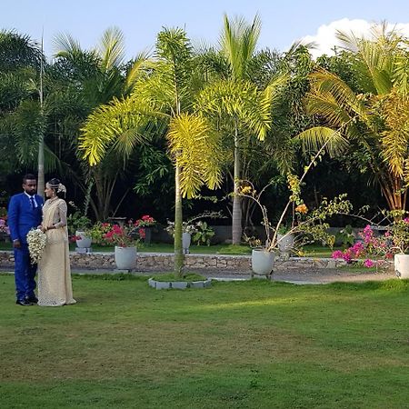 Dhammika Magic Palace Wadduwa Exteriör bild
