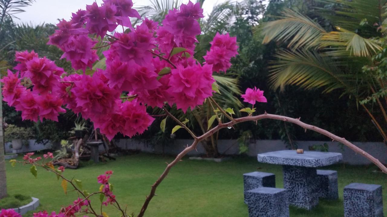 Dhammika Magic Palace Wadduwa Exteriör bild